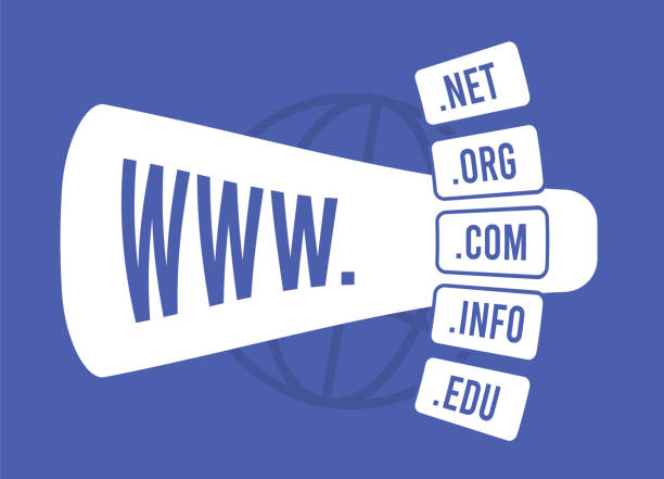 Domain Name and Hosting