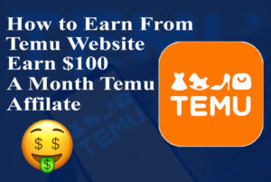 Read more about the article Earn Real Cash on Temu: Best Ways to Profit from Home
