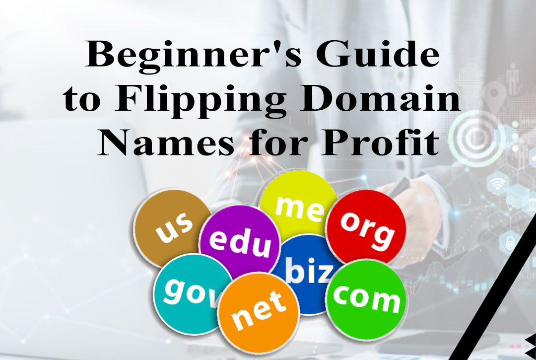 Read more about the article Beginner’s Guide to Flipping Domain Names for Profit