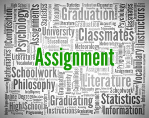 Read more about the article Scale Your Assignment Work into a Business